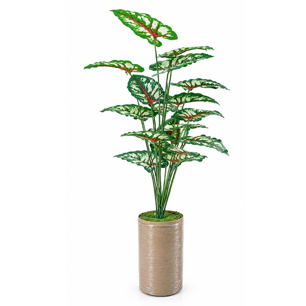 Trio Botanica