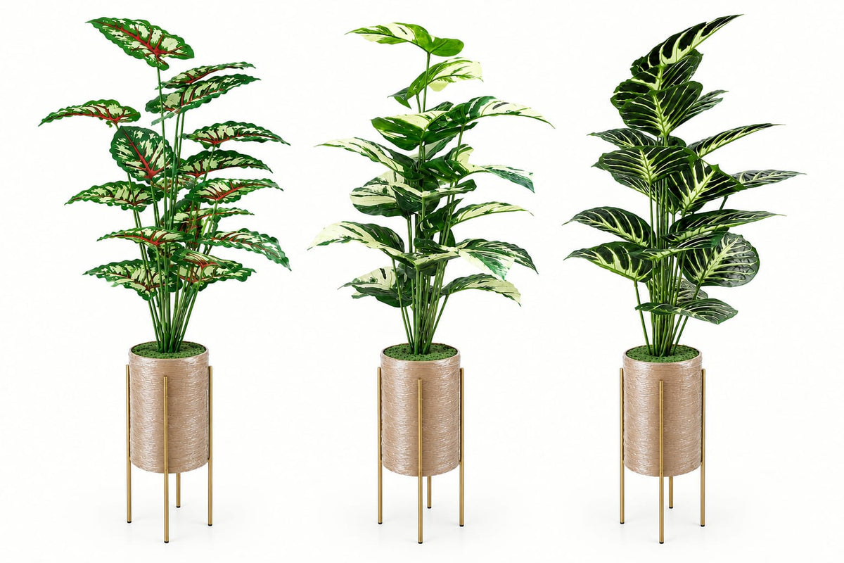 Trio Botanica