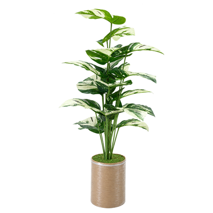 Trio Botanica
