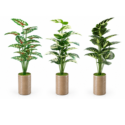 Trio Botanica