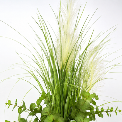 plante unique