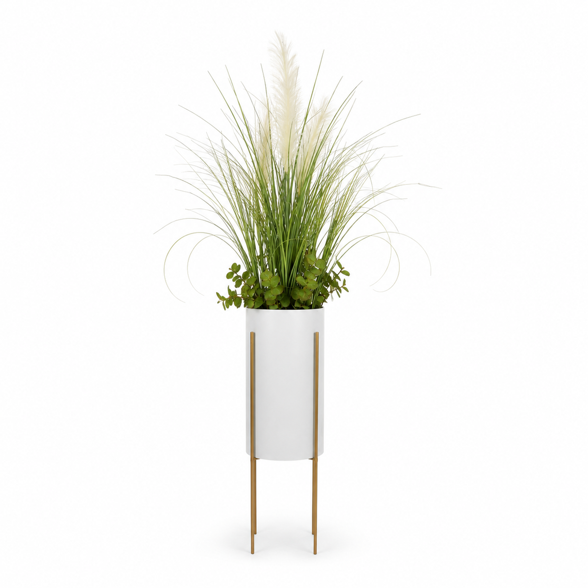 plante unique