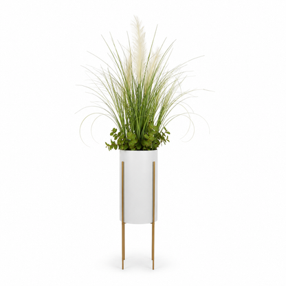 plante unique