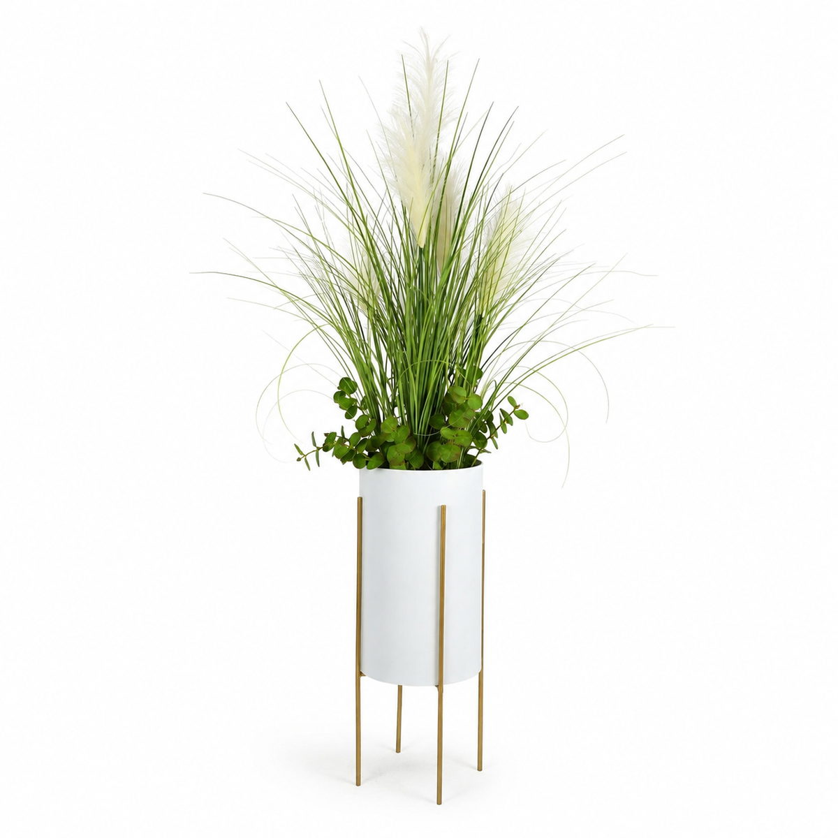 plante unique