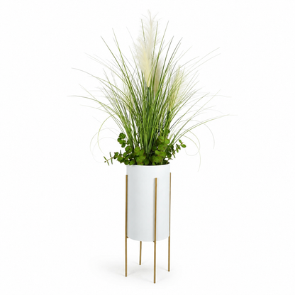 plante unique