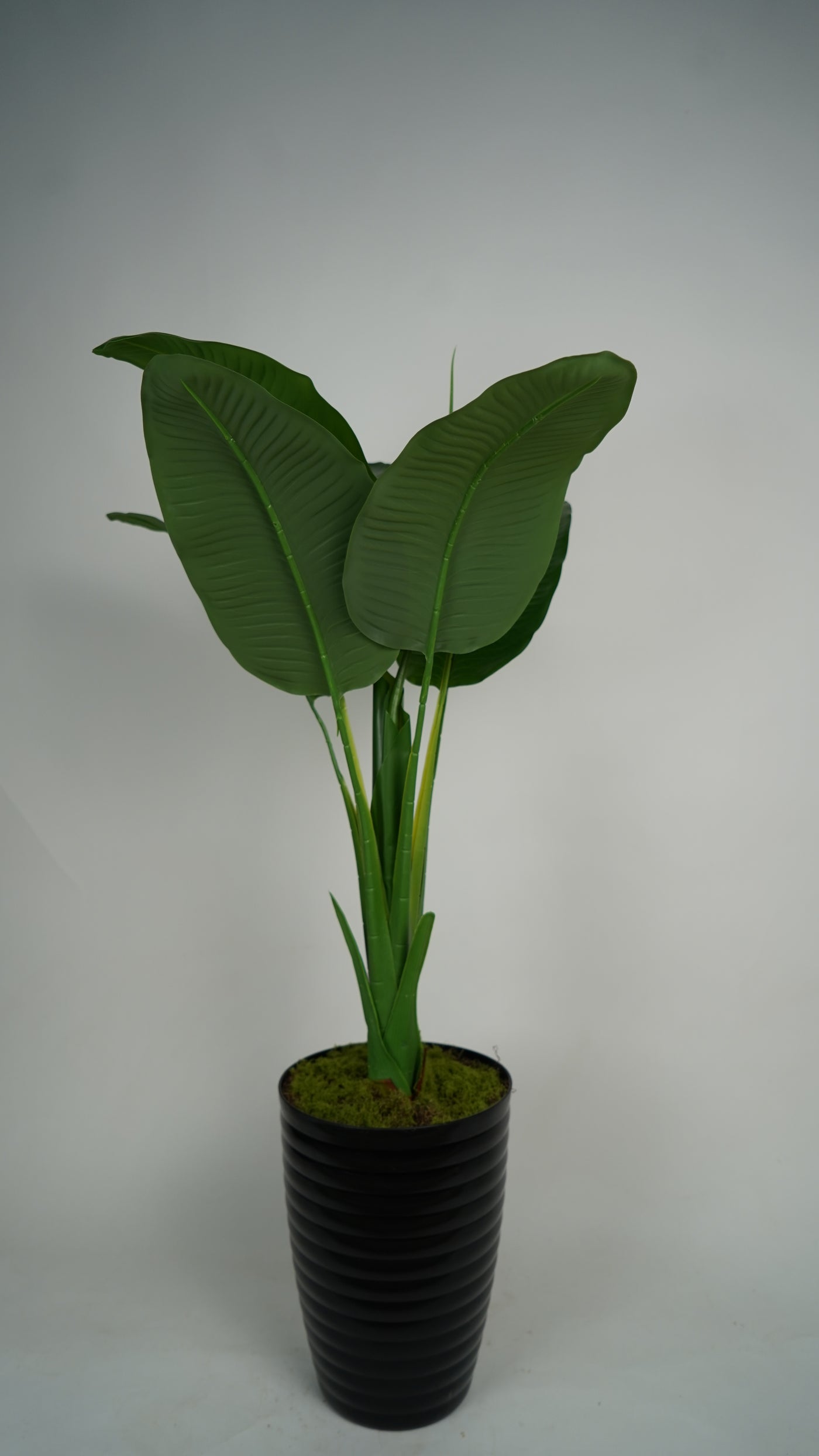 Plante Artificielle Tropicale 1m20