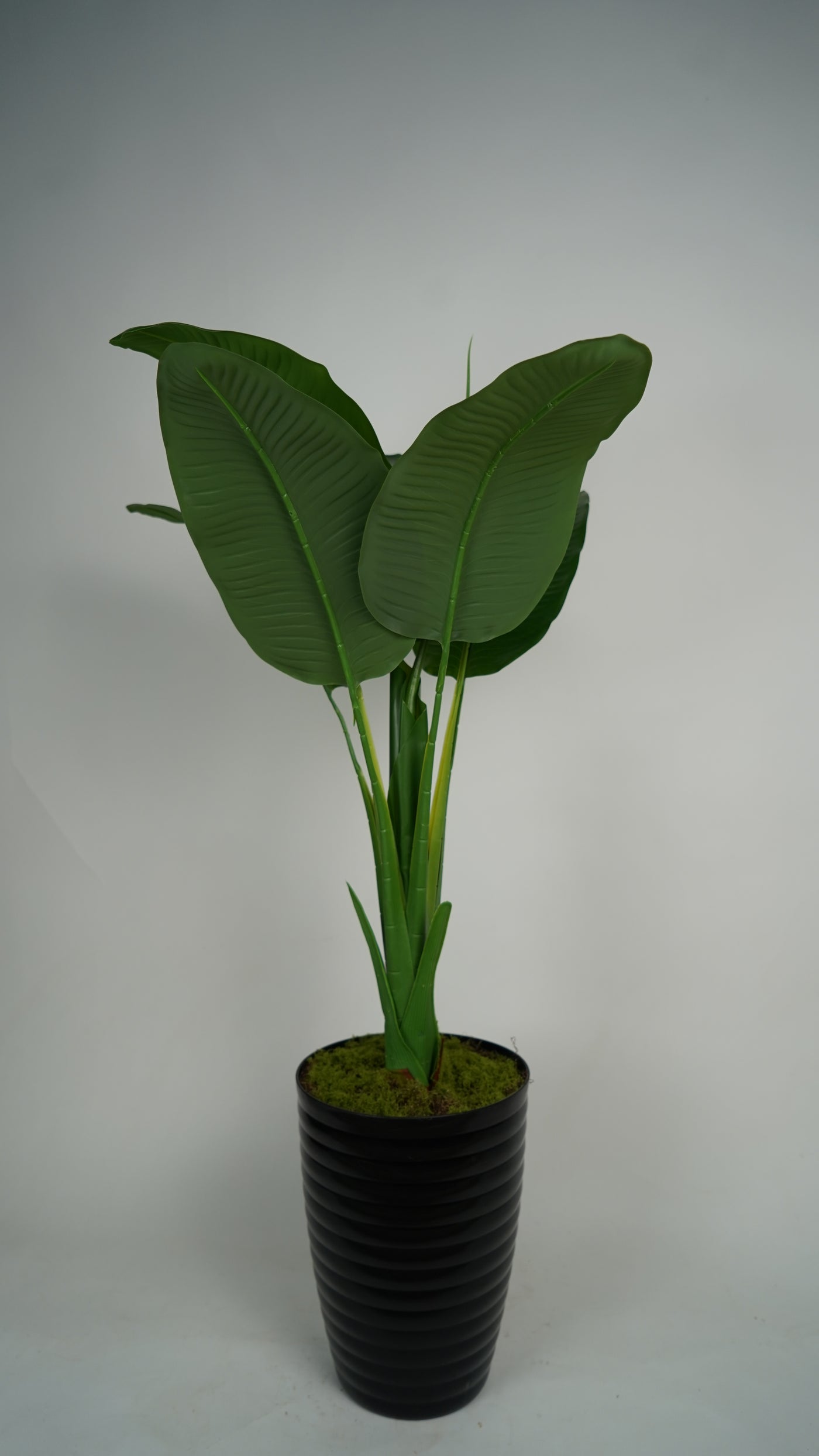 Plante Artificielle Tropicale 1m20