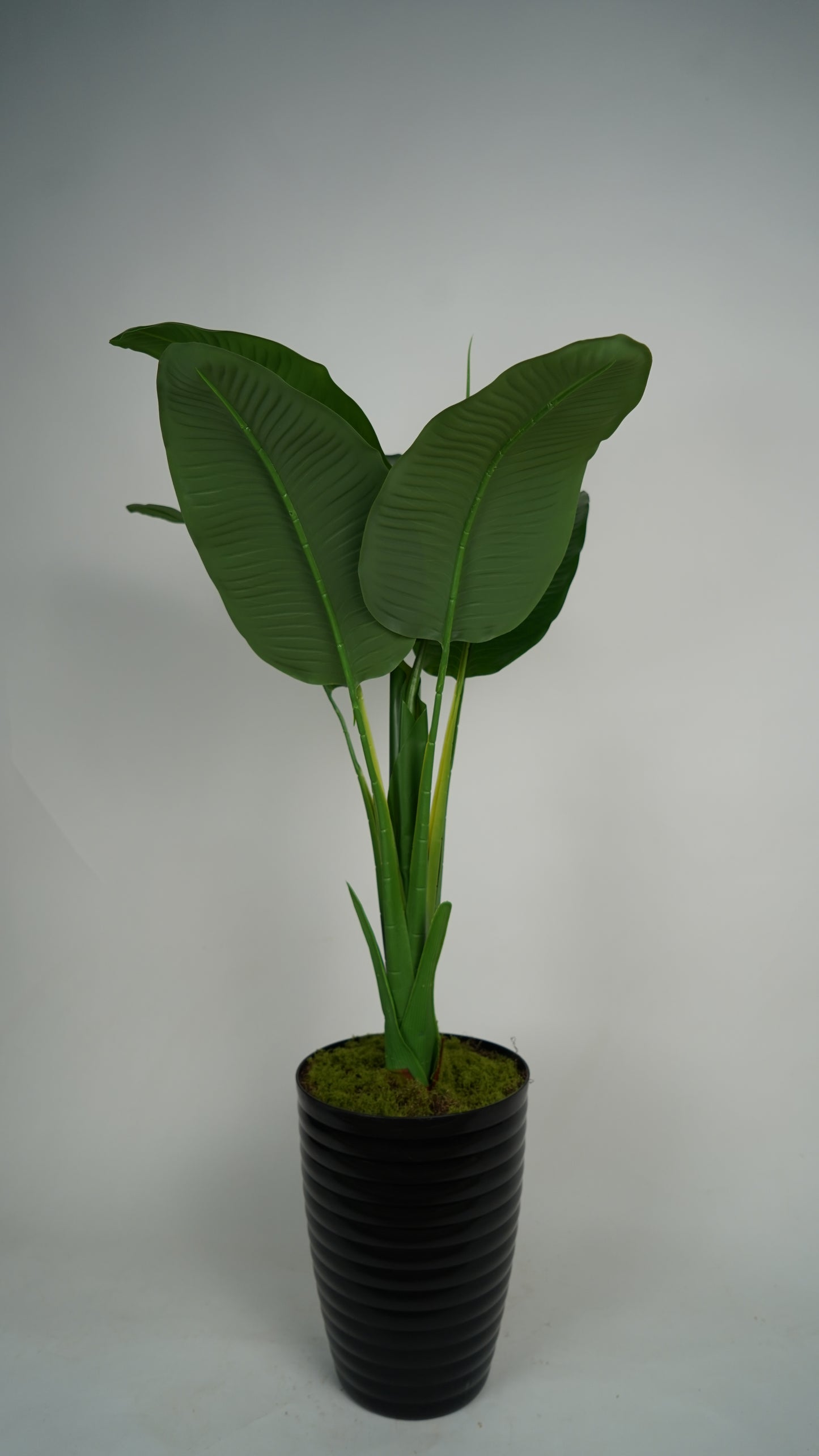 Plante Artificielle Tropicale 1m20