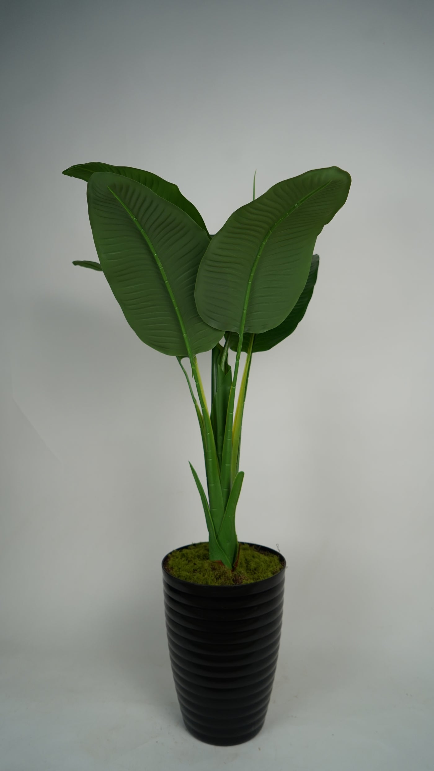 Plante Artificielle Tropicale 1m20