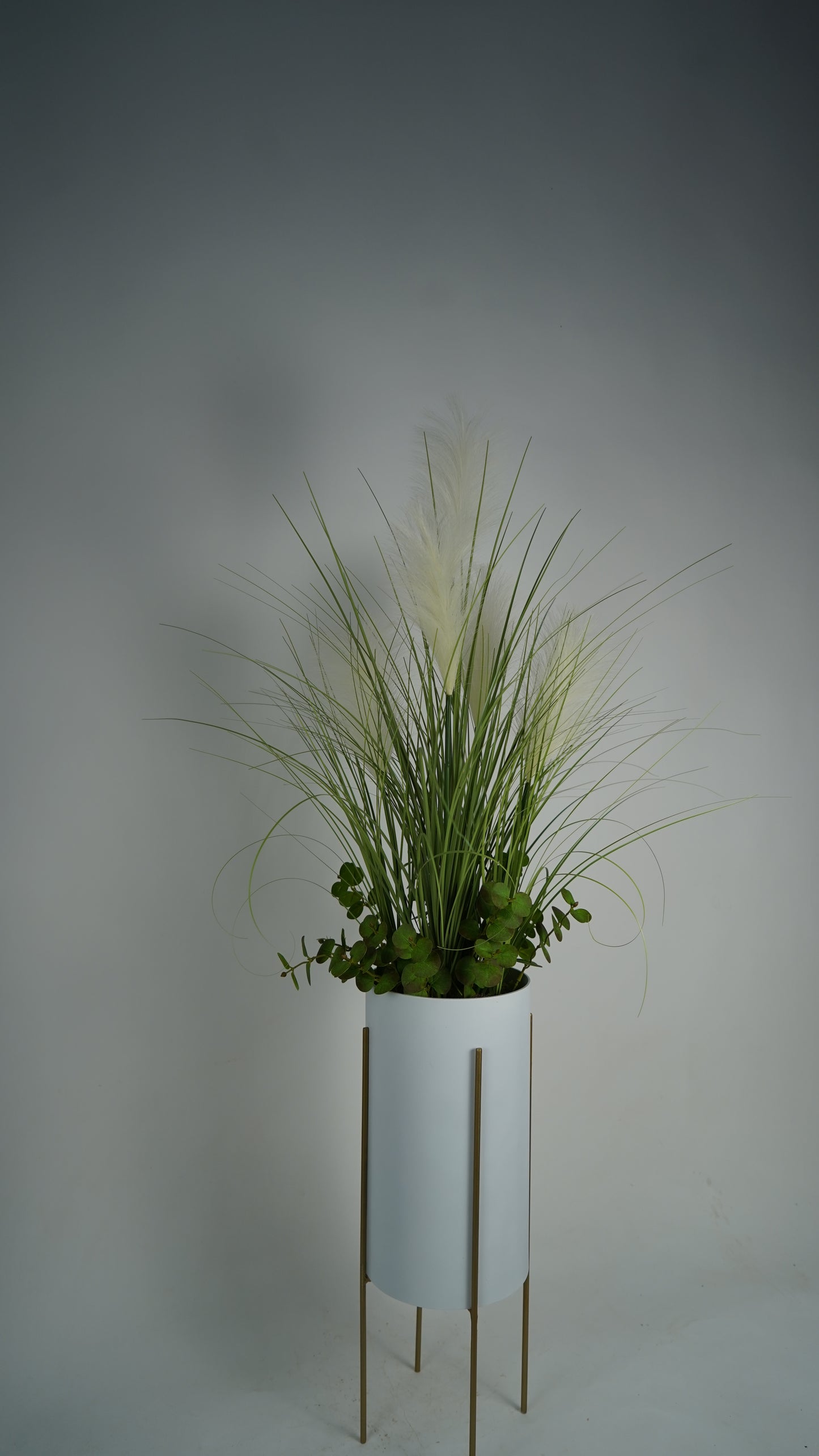plante unique