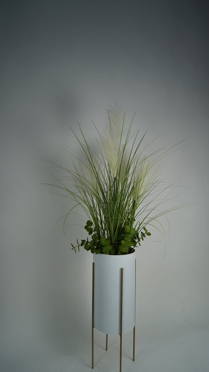 plante unique