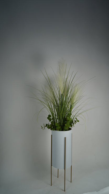 plante unique