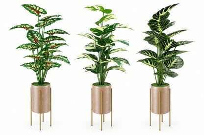 Trio Botanica