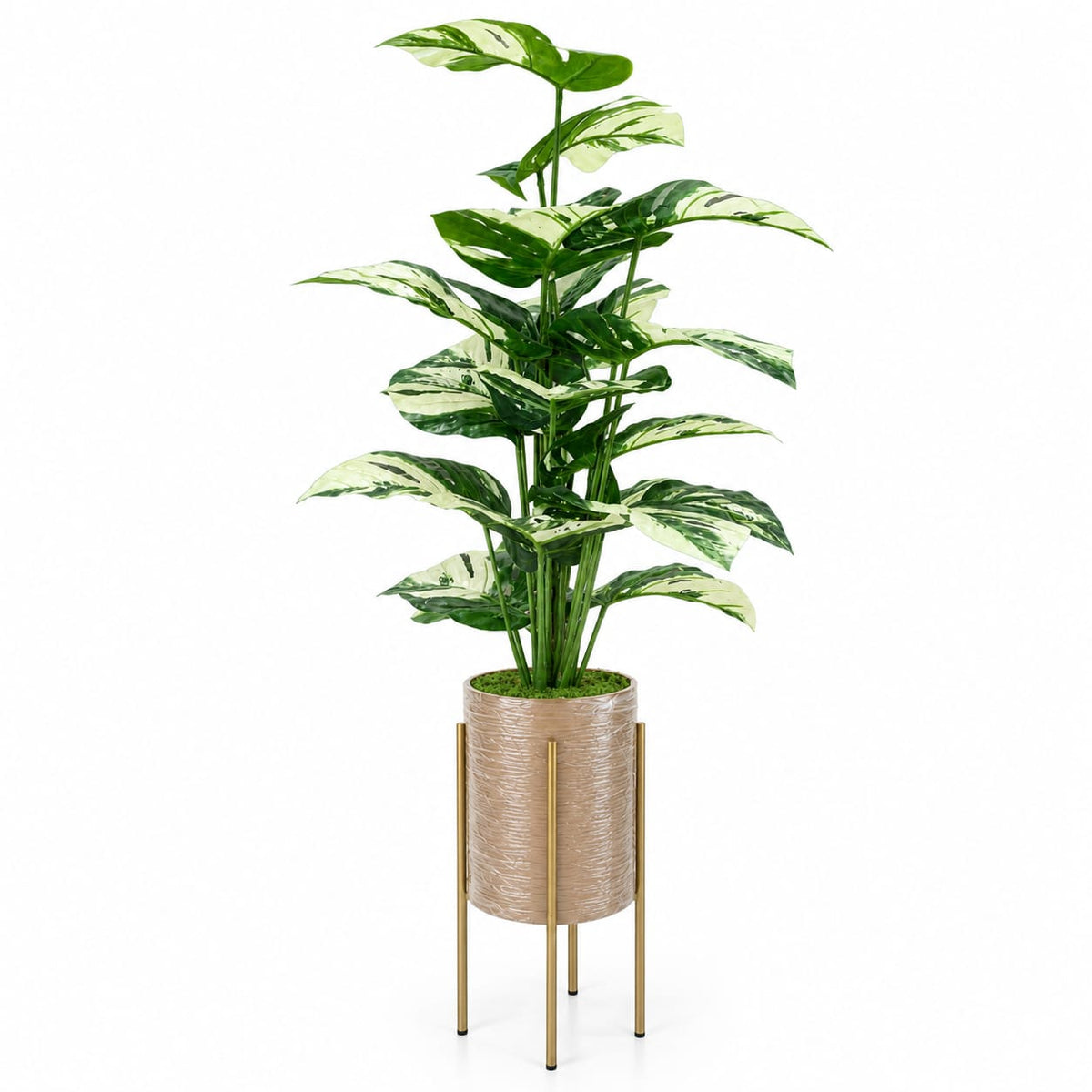 Trio Botanica