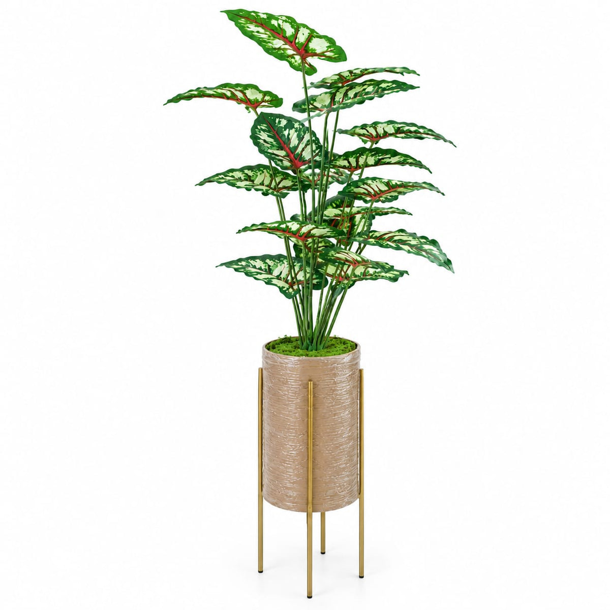 Trio Botanica