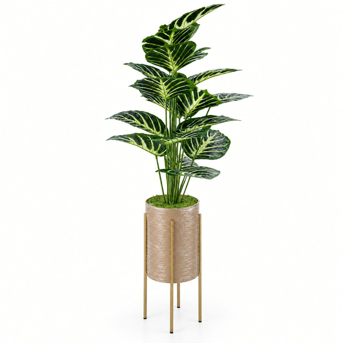 Trio Botanica
