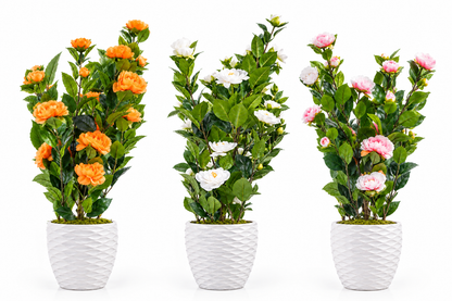 Plante florale artificielle