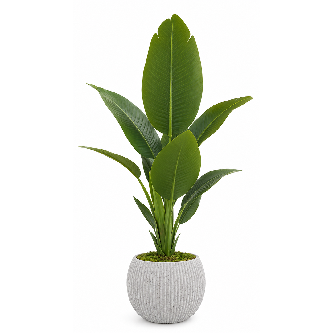 🌿 نبتة الموز الاستوائية الصناعية – 1.20 متر