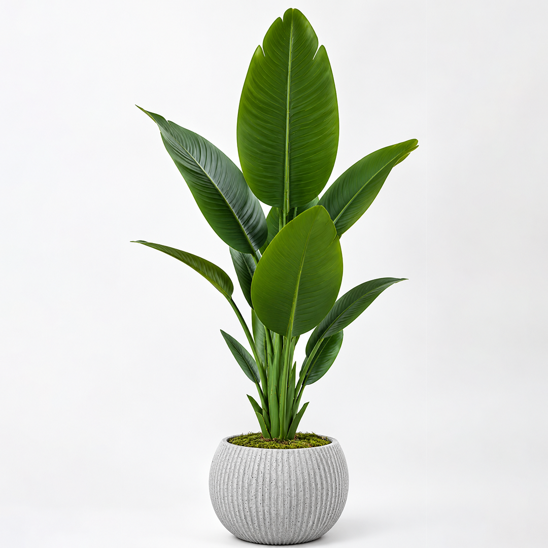 🌿 نبتة الموز الاستوائية الصناعية – 1.20 متر