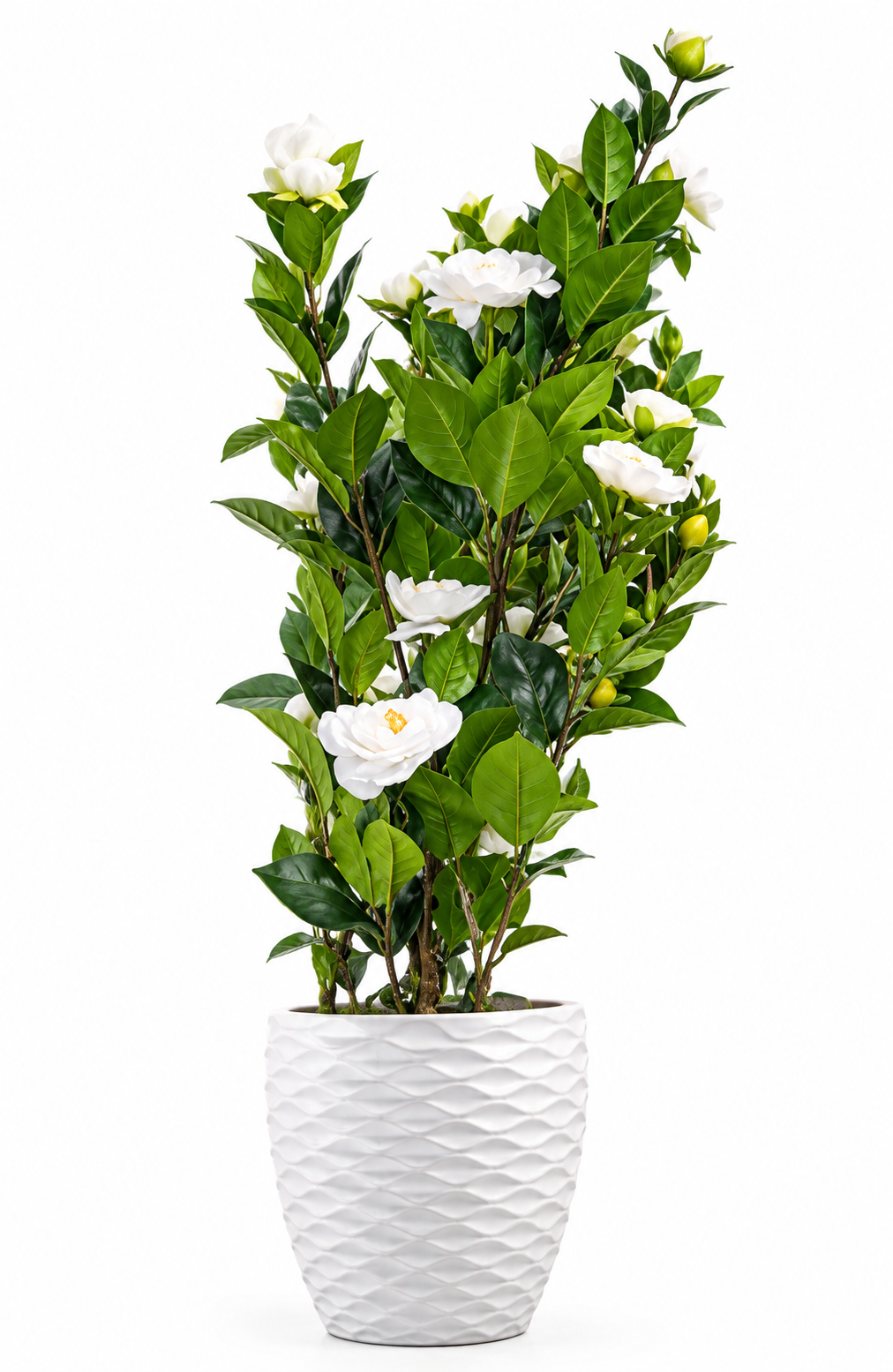 Plante florale artificielle